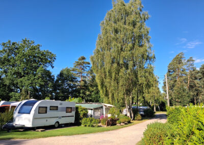 Campingplatz Holm-Seppensen